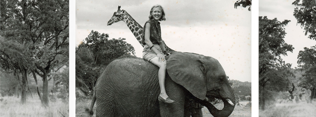 sally foster and elephant