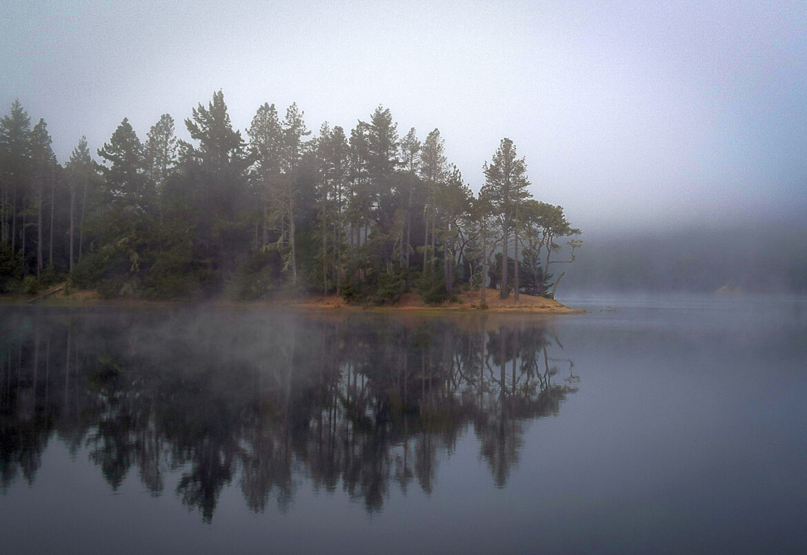 Wilderness Whisperer A Photographer's Journey to Print Success(03)