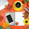 5 Content Ideas to Elevate Your Social Media this Fall