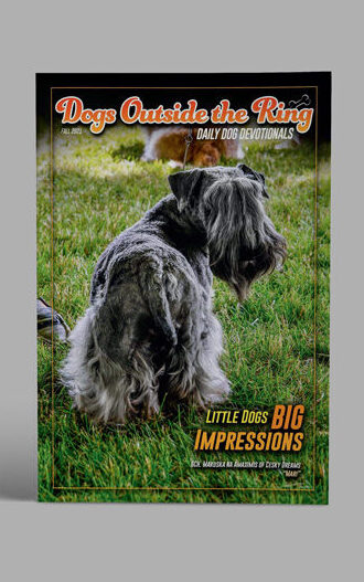 Daily Dog devotionals- Dogs Outside the Ring photography book cover