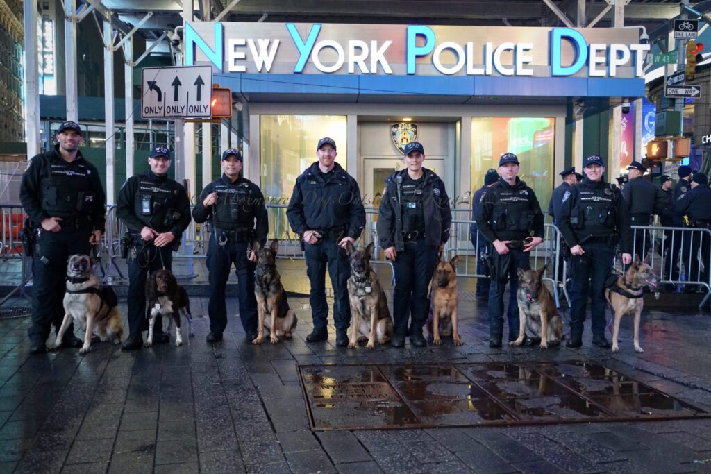Officers and their K9's Lineup 