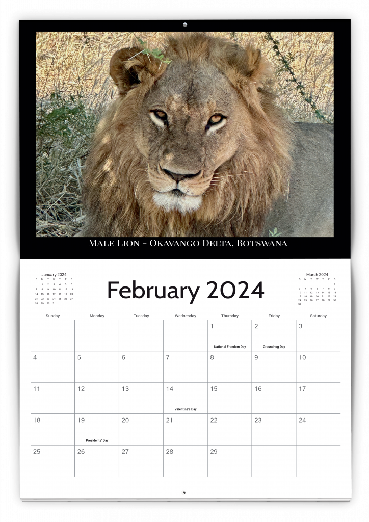 Sheila Kliewer custom calendar