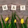 May 2024 Social Media Content Ideas & Important Dates