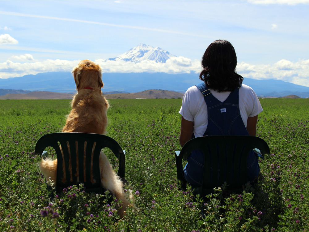 rosa & LuLu sitting in lawn chairs enjoying the view