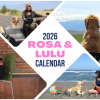 Spreading Joy, One Calendar at a Time — Rosa & LuLu’s Therapy Dog Calendar