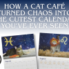 How a Cat Café Turned Chaos into the Cutest Calendar You’ve Ever Seen