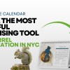 How a Simple Calendar Became the Most Powerful Fundraising Tool for Squirrel Rehabilitation in NYC