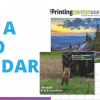 How to Make a Photo Calendar